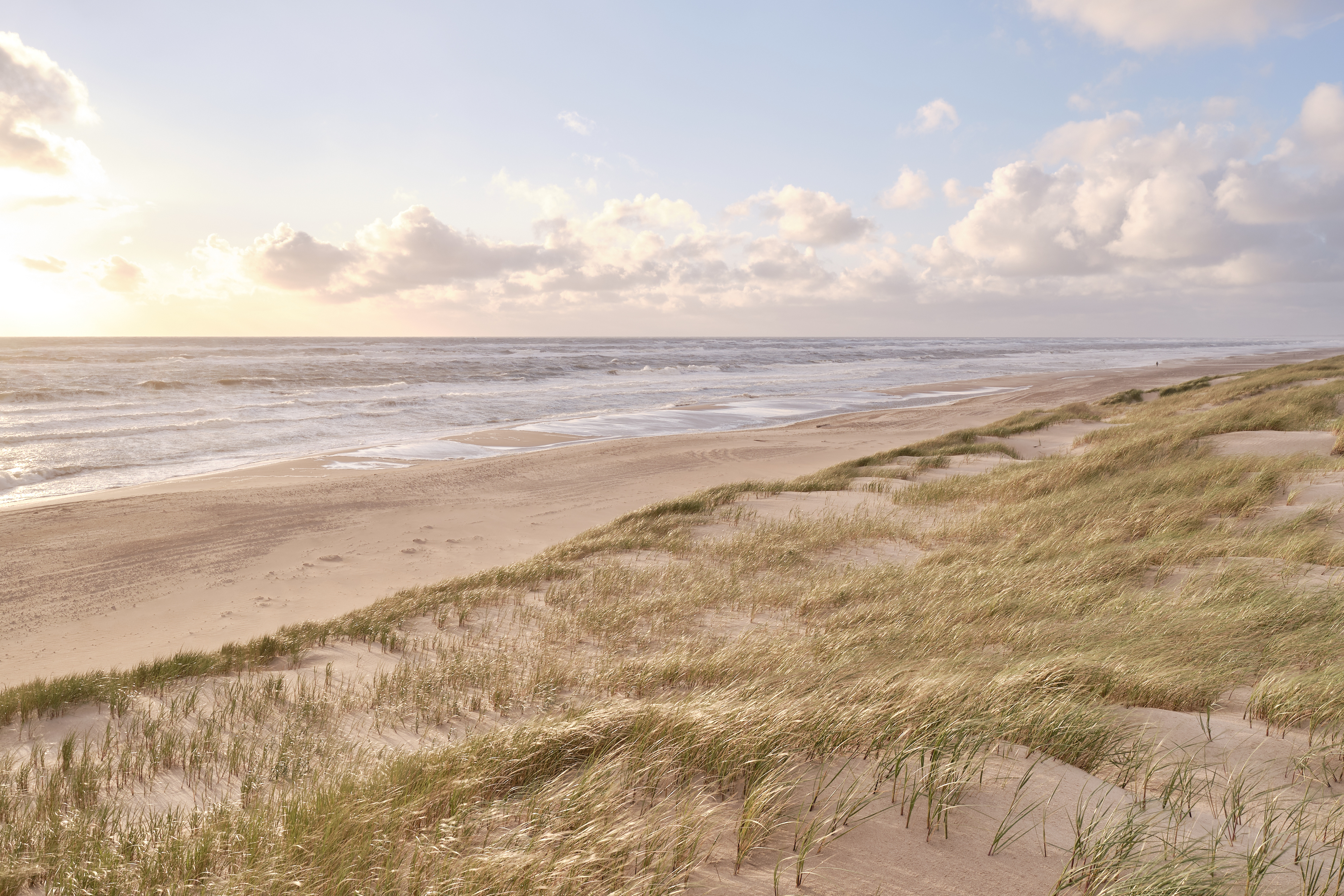 Windige Strandduenen mit gruenem Gras am Meer bei hellem Himmel