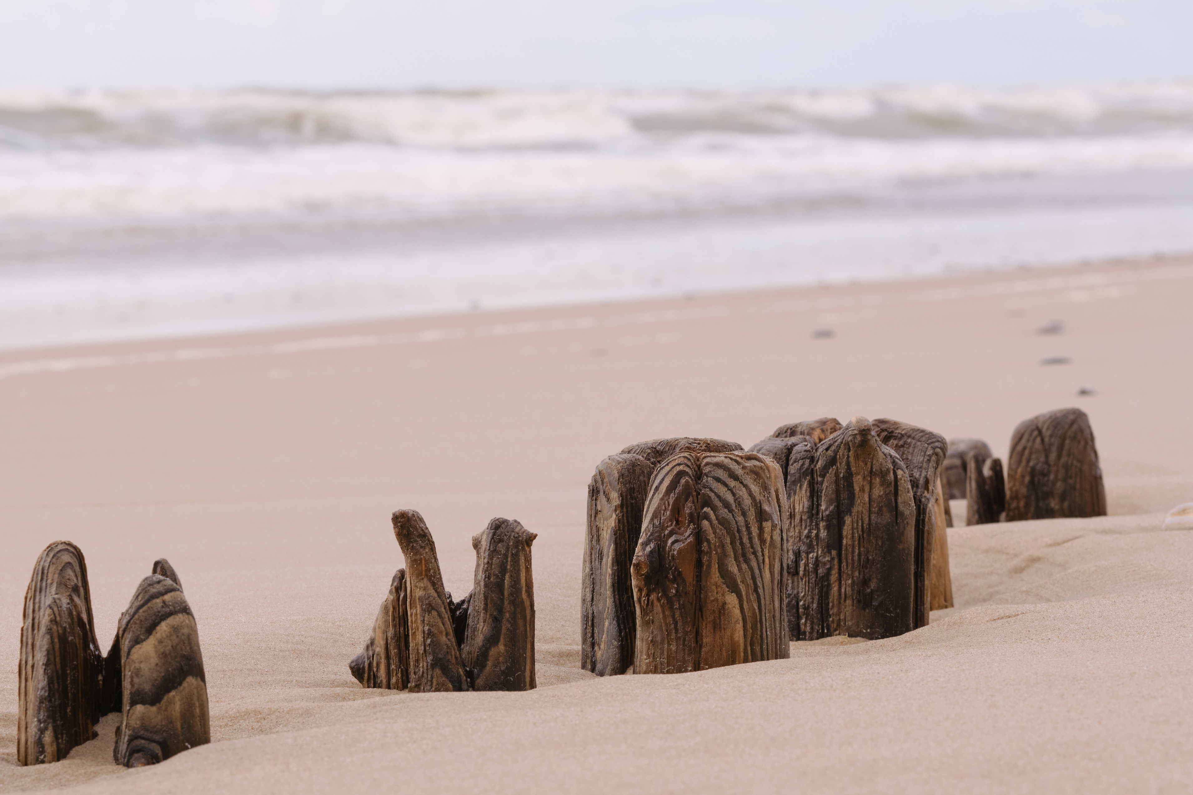Verwitterte braune Holzpfähle ragen am ruhigen Strand aus dem Sand